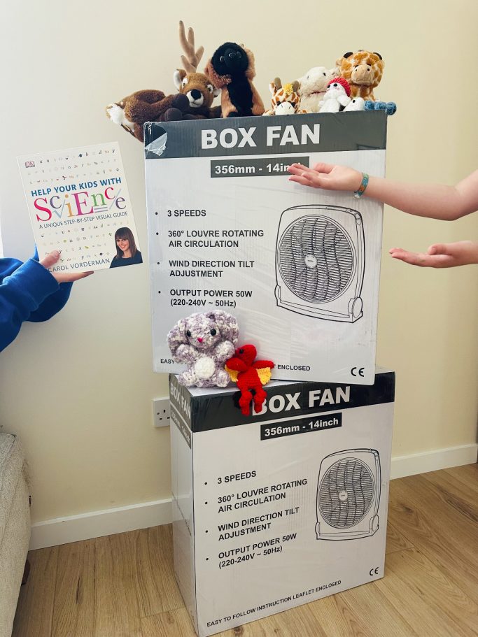 The box fan arrives